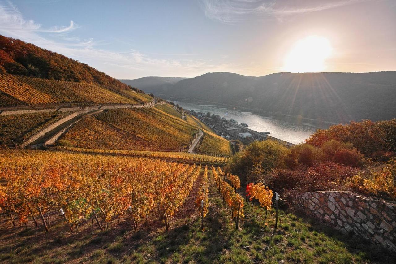 Breuer'S Ruedesheimer Schloss Rüdesheim am Rhein Exteriér fotografie